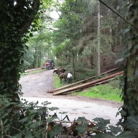 Spacious Chalet With Fenced Garden In Forest In Vieuxville *